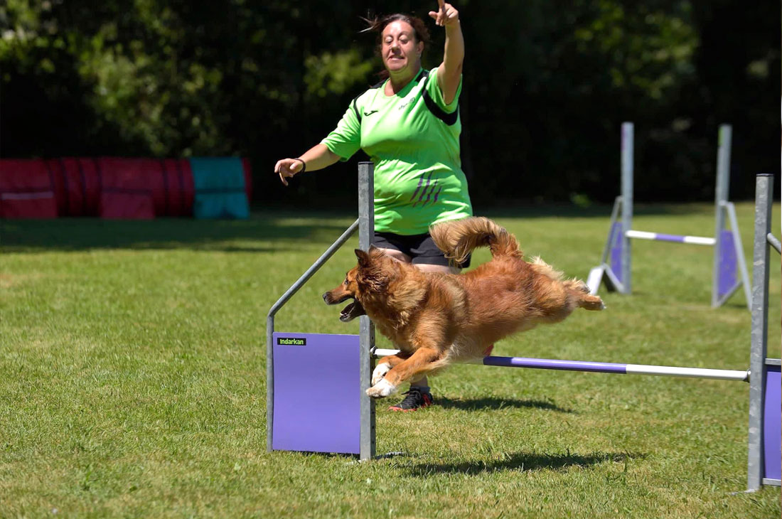 Mujer y perro en plena prueba de agility