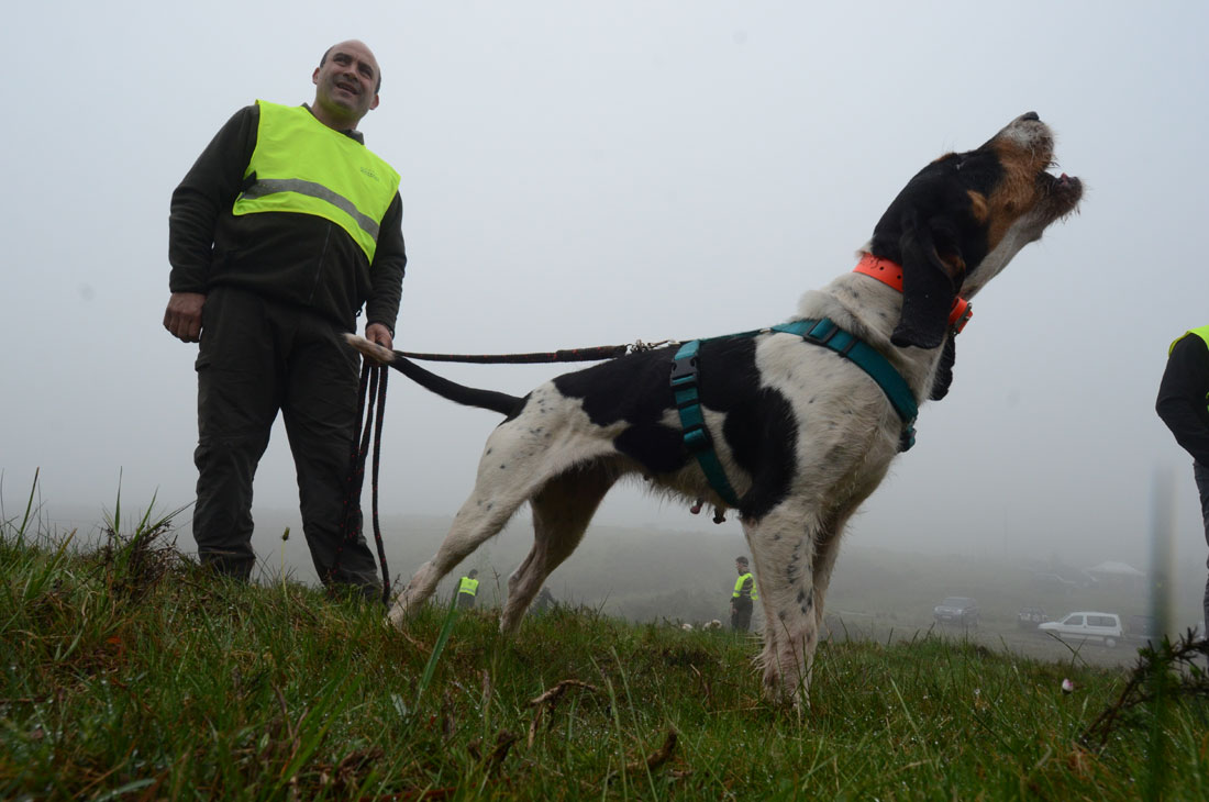 Persona junto a un perro de rastro